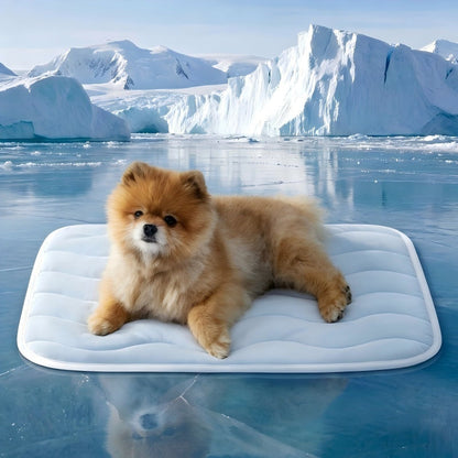 NexaPet™ Cooling Mat
