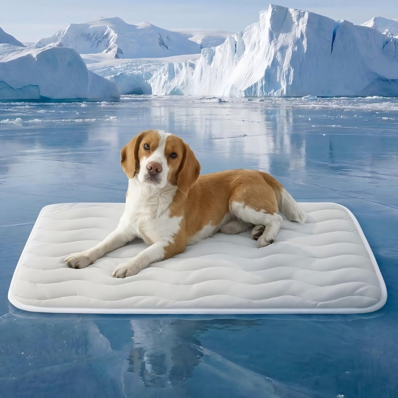 NexaPet™ Cooling Mat